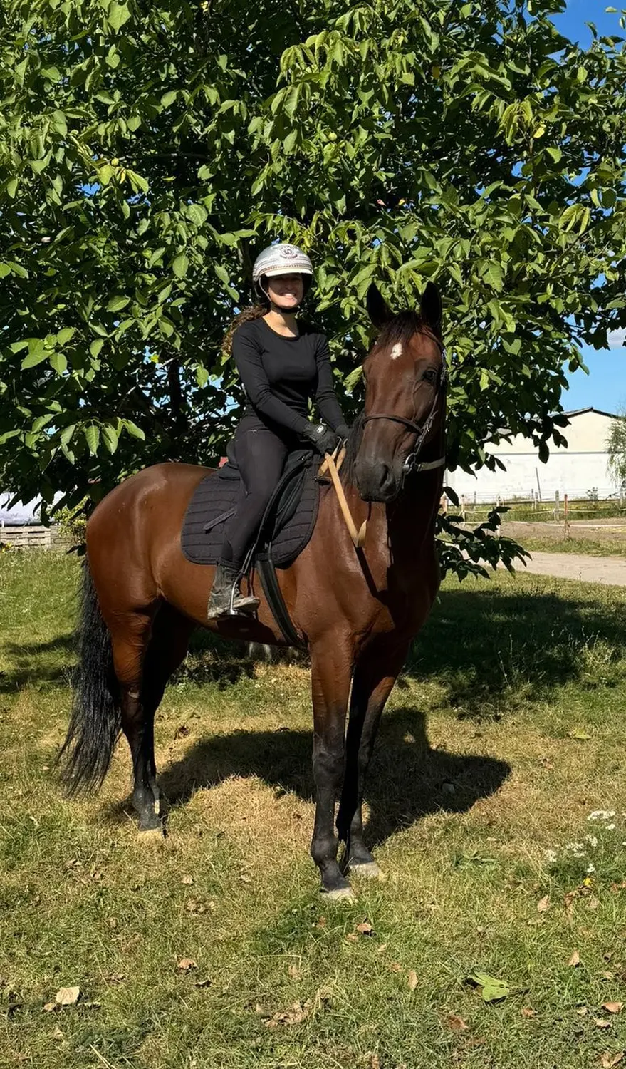 Pferd Traberfreizeit
